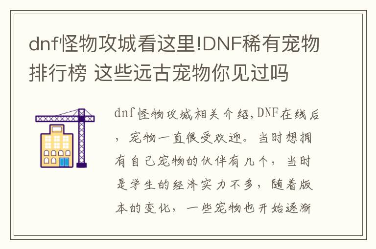 dnf怪物攻城看这里!DNF稀有宠物排行榜 这些远古宠物你见过吗