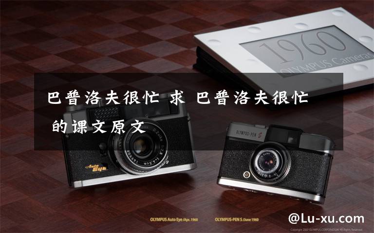 巴普洛夫很忙 求 巴普洛夫很忙 的课文原文