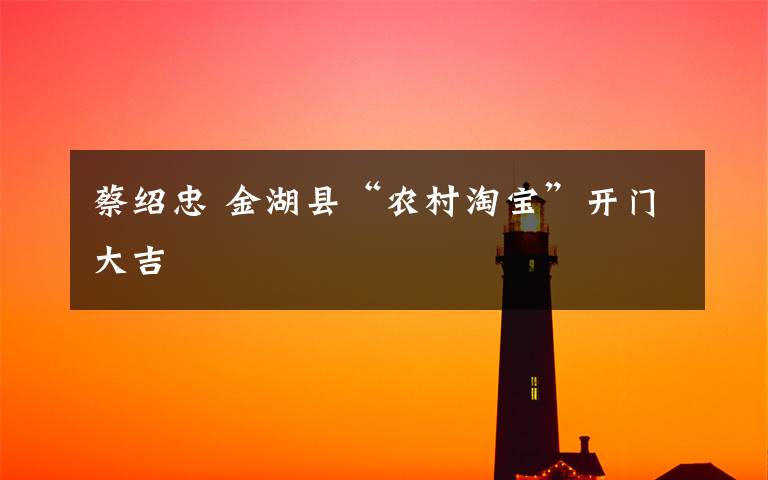 蔡绍忠 金湖县“农村淘宝”开门大吉