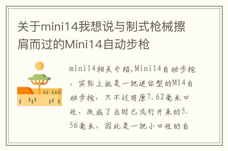 关于mini14我想说与制式枪械擦肩而过的Mini14自动步枪