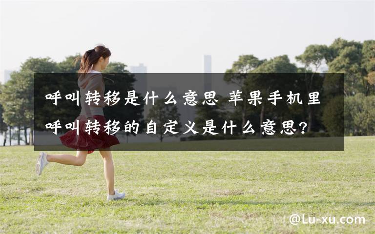 呼叫转移是什么意思 苹果手机里呼叫转移的自定义是什么意思?