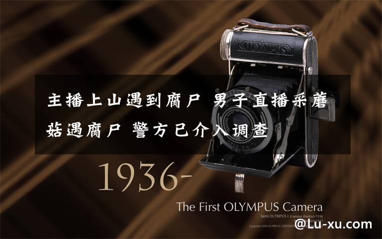 主播上山遇到腐尸 男子直播采蘑菇遇腐尸 警方已介入调查