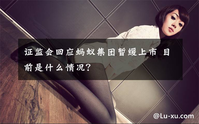 证监会回应蚂蚁集团暂缓上市 目前是什么情况?