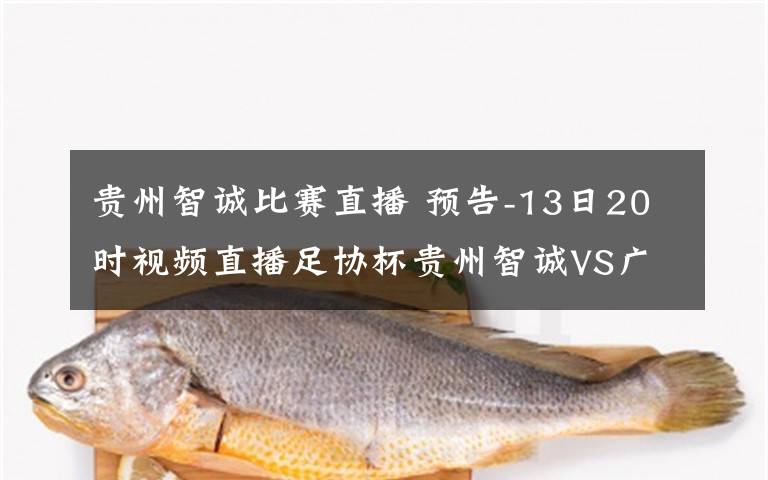 贵州智诚比赛直播 预告-13日20时视频直播足协杯贵州智诚VS广州富力