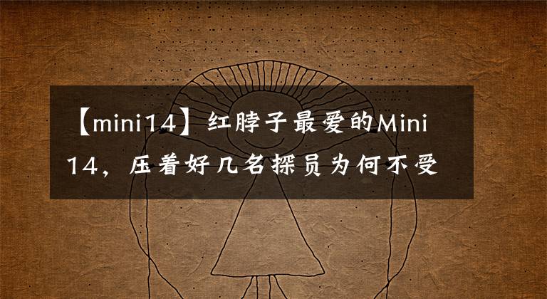 【mini14】红脖子最爱的Mini14,压着好几名探员为何不受美军待见?