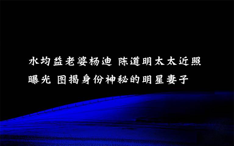 水均益老婆杨迪 陈道明太太近照曝光 图揭身份神秘的明星妻子