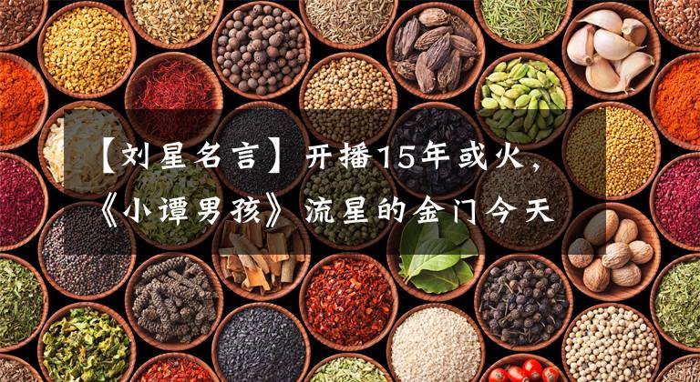 【刘星名言】开播15年或火,《小谭男孩》流星的金门今天依然爆款。