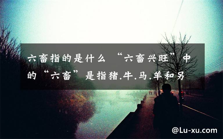 六畜指的是什么 “六畜兴旺”中的“六畜”是指猪.牛.马.羊和另外哪两种动物