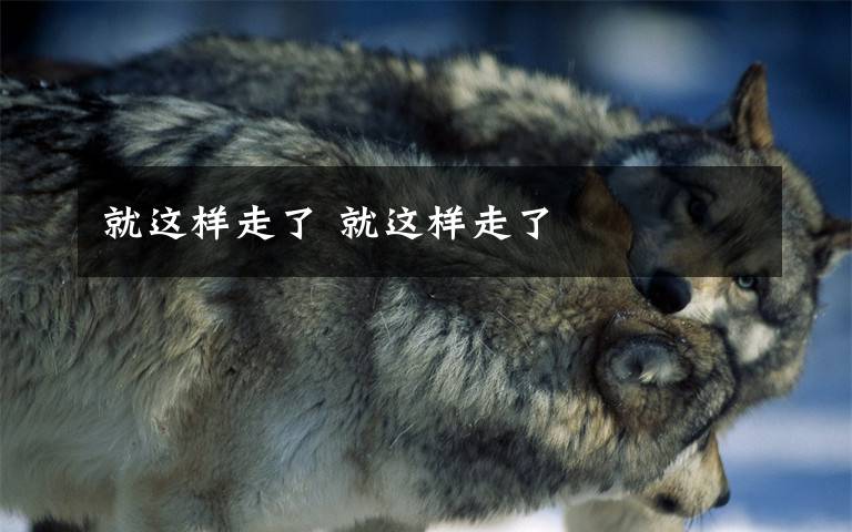 就这样走了 就这样走了