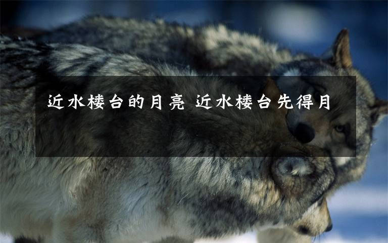 近水楼台的月亮 近水楼台先得月