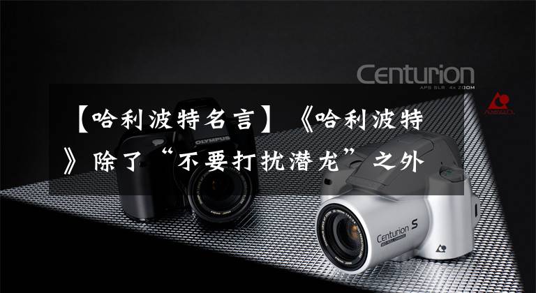 【哈利波特名言】《哈利波特》除了“不要打扰潜龙”之外,还有什么意义深远的格言?