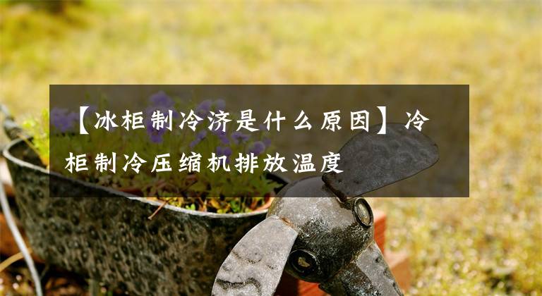 【冰柜制冷济是什么原因】冷柜制冷压缩机排放温度