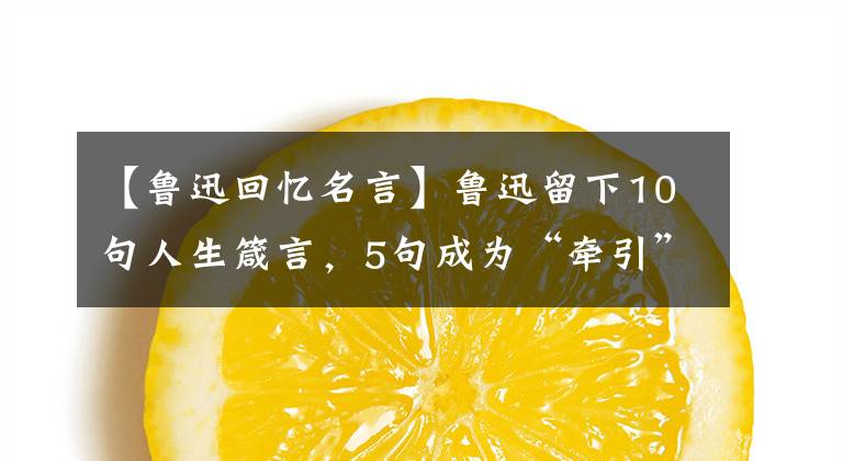 【鲁迅回忆名言】鲁迅留下10句人生箴言，5句成为“牵引”新区，5句成为名人座右铭