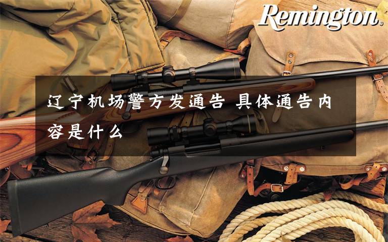 辽宁机场警方发通告 具体通告内容是什么