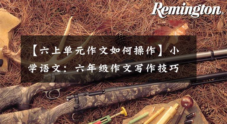 【六上单元作文如何操作】小学语文:六年级作文写作技巧的详细说明、副记者优秀范文及名词评论!