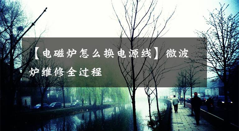 【电磁炉怎么换电源线】微波炉维修全过程