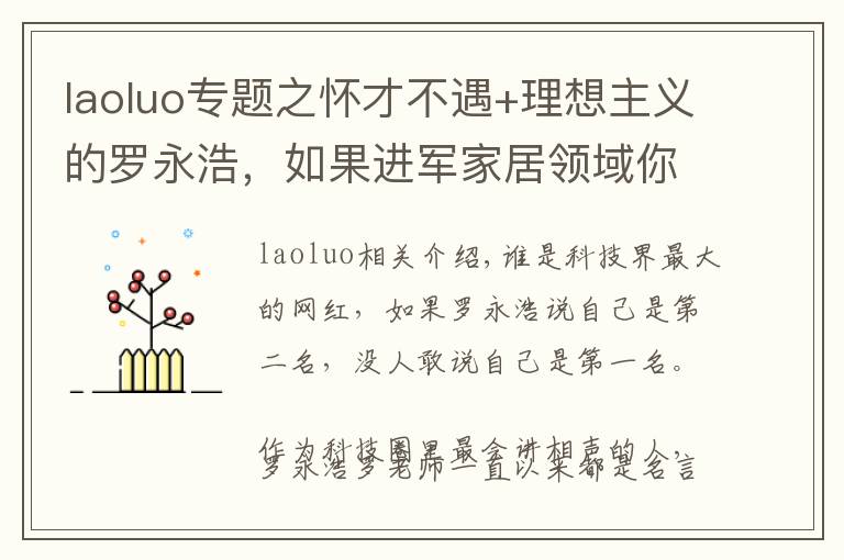 laoluo专题之怀才不遇+理想主义的罗永浩，如果进军家居领域你会买单吗？