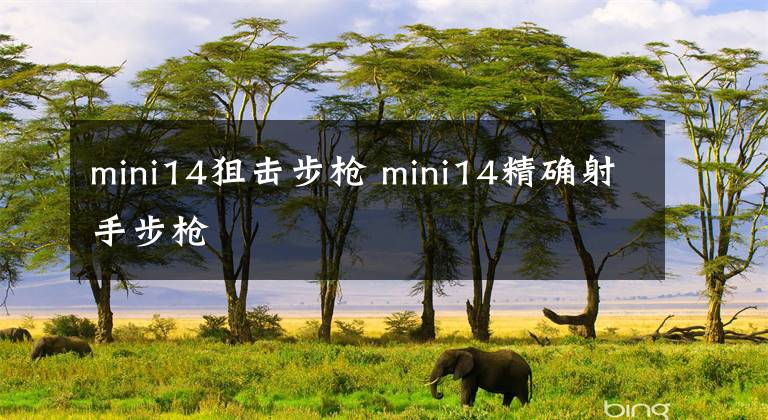 mini14狙击步枪 mini14精确射手步枪