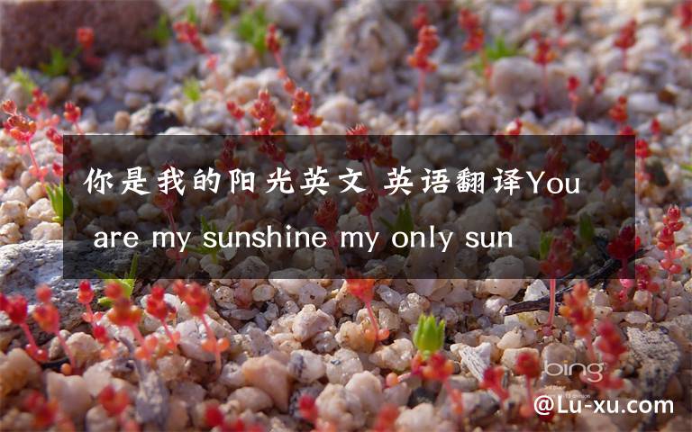 你是我的阳光英文 英语翻译You are my sunshine my only sunshine You make me happy w
