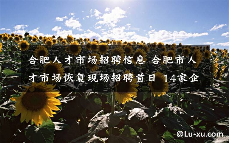 合肥人才市场招聘信息 合肥市人才市场恢复现场招聘首日 14家企业提供500多个岗位