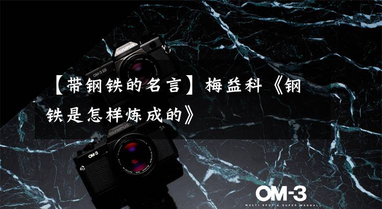 【带钢铁的名言】梅益科《钢铁是怎样炼成的》