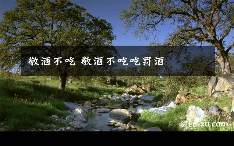 敬酒不吃 敬酒不吃吃罚酒