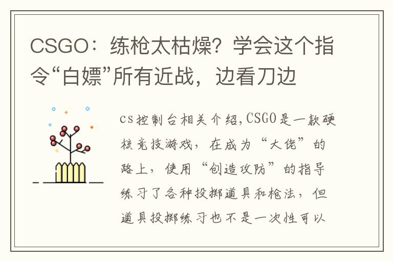CSGO:练枪太枯燥?学会这个指令“白嫖”所有近战,边看刀边练枪