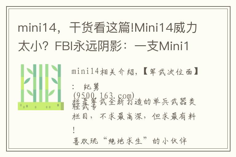 mini14,干货看这篇!Mini14威力太小?FBI永远阴影:一支Mini14吊打8名探员