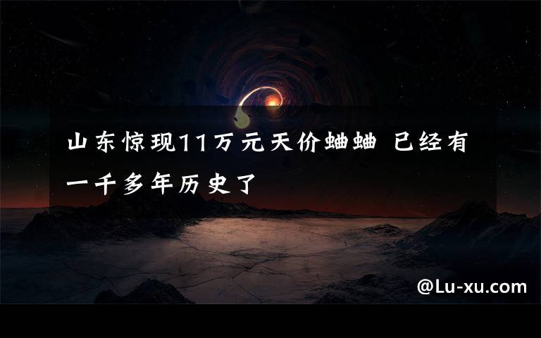 山东惊现11万元天价蛐蛐 已经有一千多年历史了