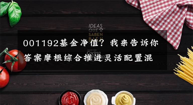 001192基金净值?我来告诉你答案摩根综合推进灵活配置混合基金的最新净值跌幅达到5.01%。