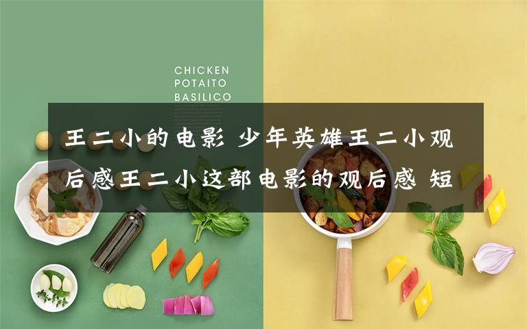 王二小的电影 少年英雄王二小观后感王二小这部电影的观后感 短一点的