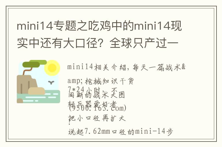 mini14专题之吃鸡中的mini14现实中还有大口径?全球只产过一百支!