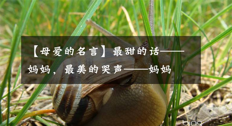 【母爱的名言】最甜的话——妈妈,最美的哭声——妈妈