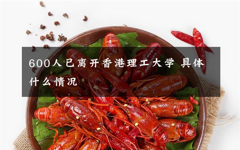 600人已离开香港理工大学 具体什么情况