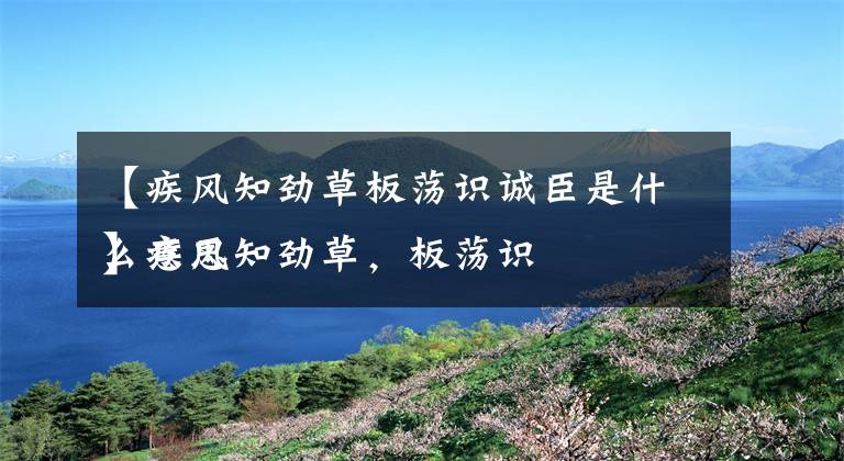 【疾风知劲草板荡识诚臣是什么意思】疾风知劲草,板荡识诚臣是什么意思?