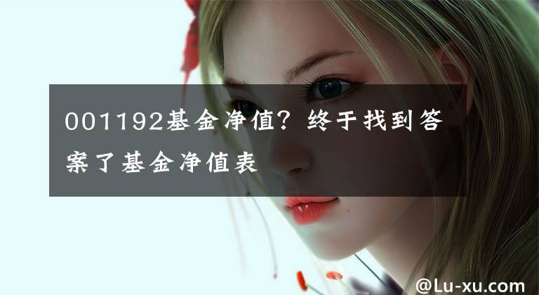 001192基金净值?终于找到答案了基金净值表