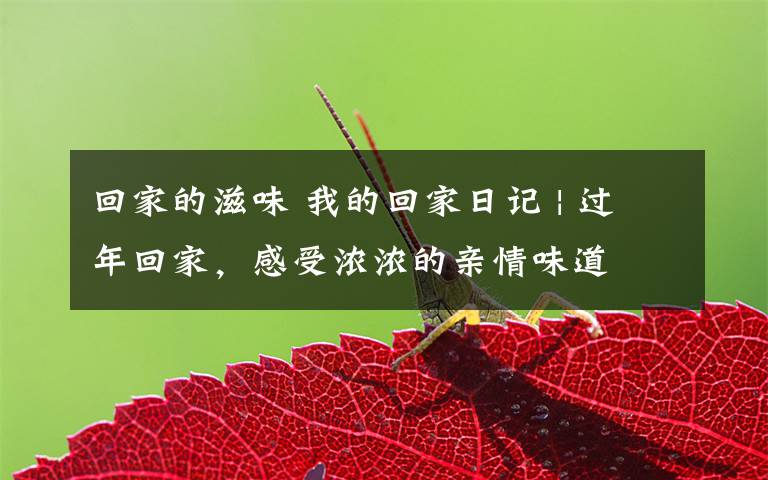 回家的滋味 我的回家日记 | 过年回家,感受浓浓的亲情味道
