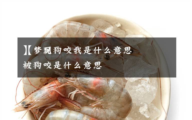 【梦见狗咬我是什么意思
】梦到被狗咬是什么意思