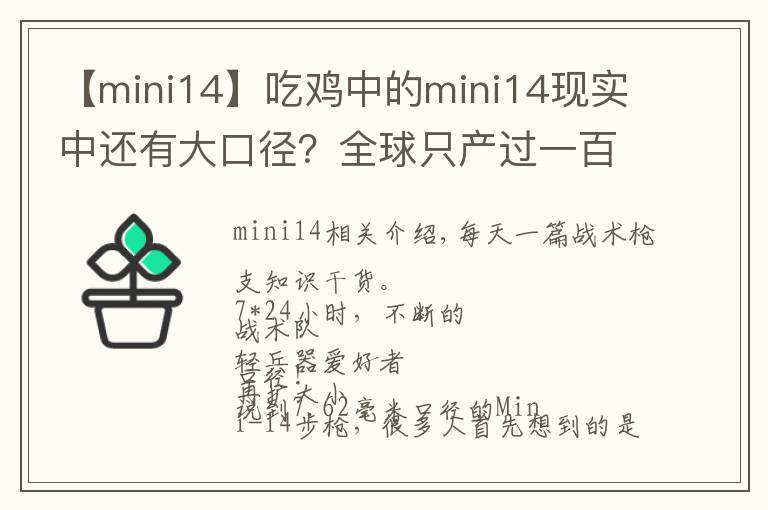 【mini14】吃鸡中的mini14现实中还有大口径?全球只产过一百支!
