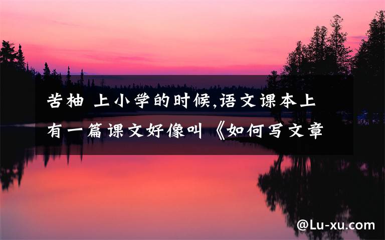 苦柚 上小学的时候,语文课本上有一篇课文好像叫《如何写文章》,需要课文内容.