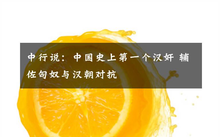 中行说:中国史上第一个汉奸 辅佐匈奴与汉朝对抗