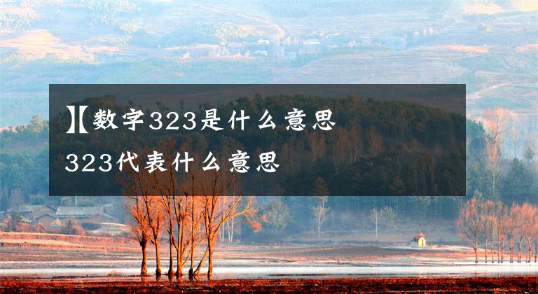 【数字323是什么意思
】数字323代表什么意思
