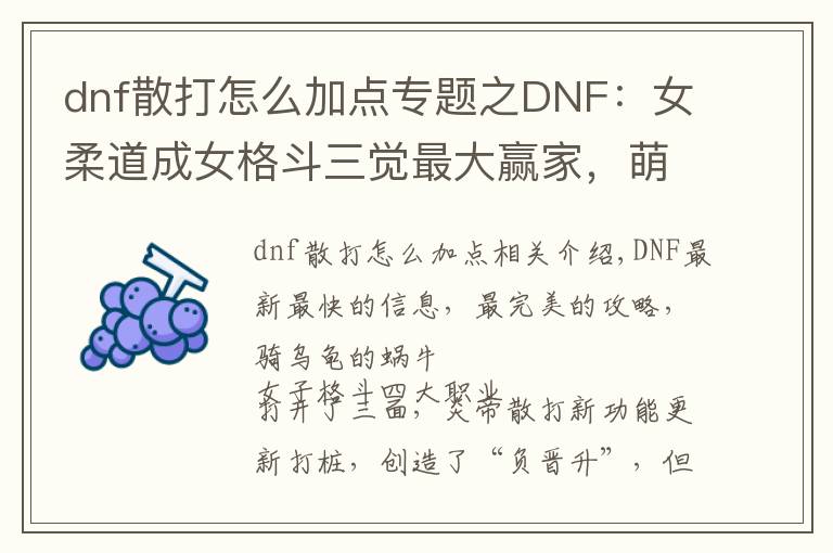 dnf散打怎么加点专题之DNF:女柔道成女格斗三觉最大赢家,萌新入门技能加点分析推荐