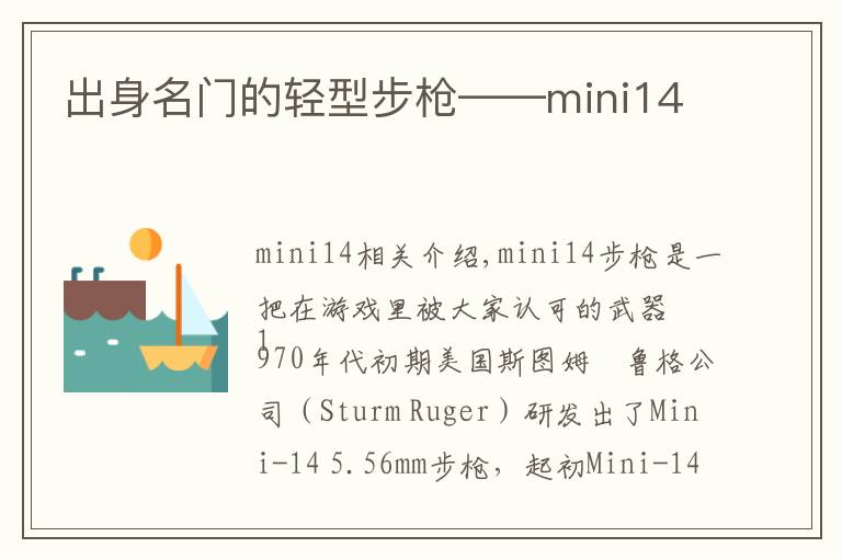 出身名门的轻型步枪——mini14