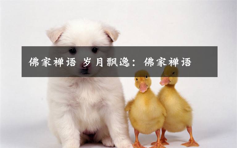 佛家禅语 岁月飘逸:佛家禅语