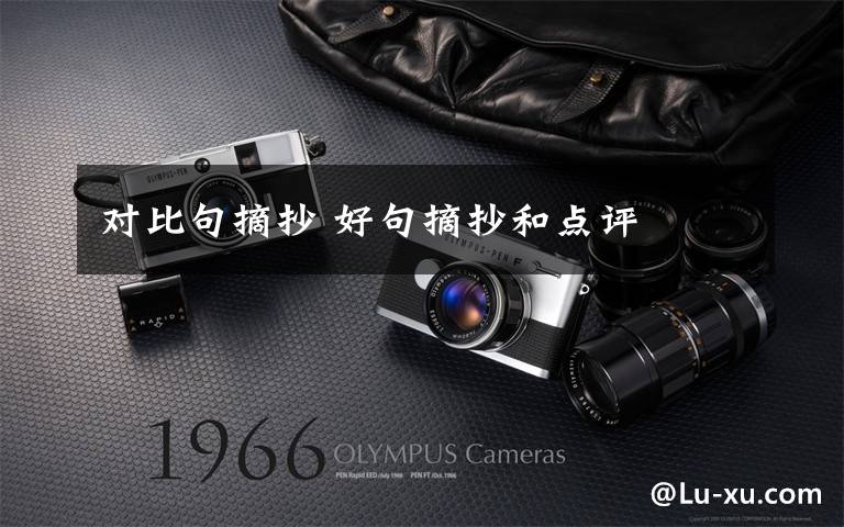 对比句摘抄 好句摘抄和点评