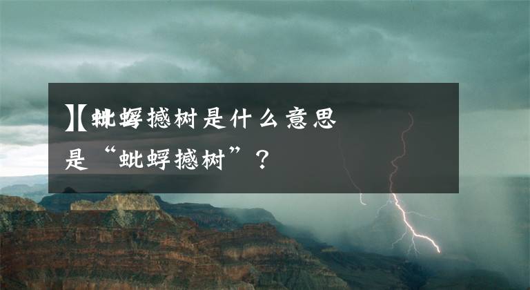 【蚍蜉撼树是什么意思】什么是“蚍蜉撼树”？