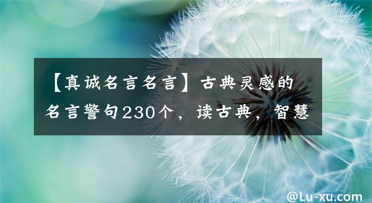 【真诚名言名言】古典灵感的名言警句230个,读古典,智慧长。