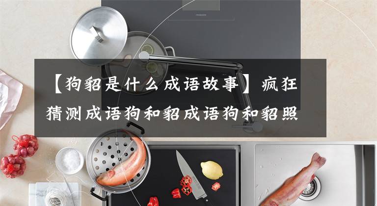 【狗貂是什么成语故事】疯狂猜测成语狗和貂成语狗和貂照片答案。