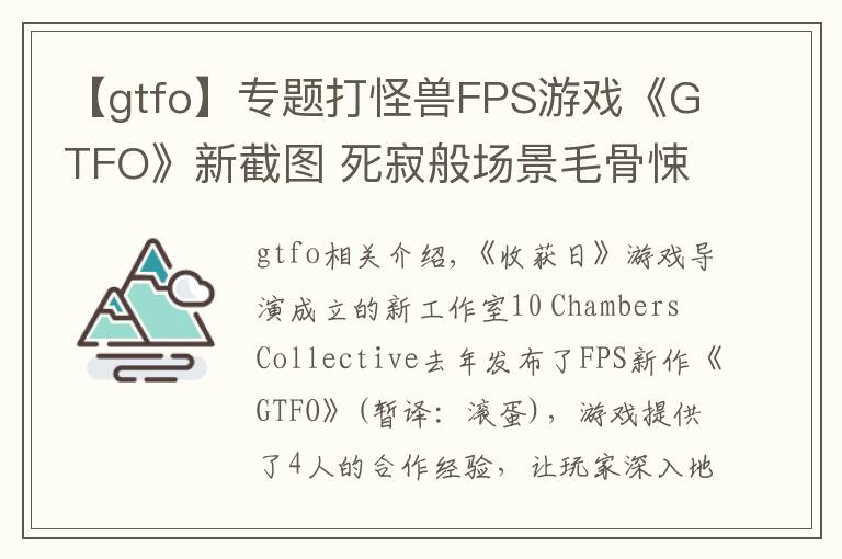 【gtfo】专题打怪兽FPS游戏《GTFO》新截图 死寂般场景毛骨悚然